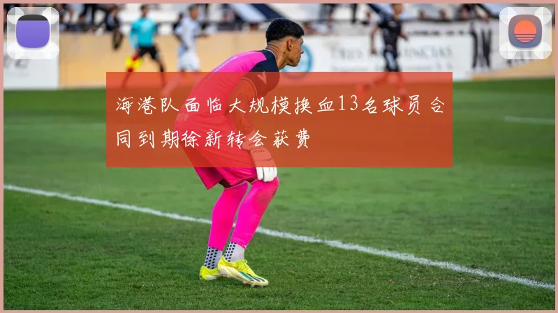 海港队面临大规模换血13名球员合同到期徐新转会获费