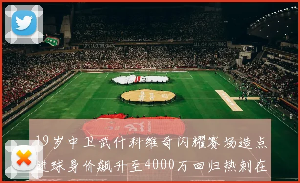 19岁中卫武什科维奇闪耀赛场造点进球身价飙升至4000万回归热刺在即