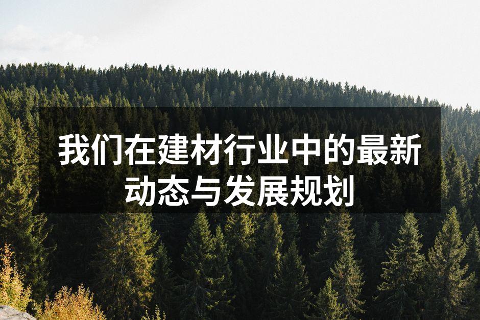 新型环保地板展示
